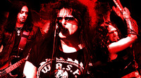Thumbnail image for the event W.A.S.P. supplied by the hosting site