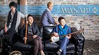 Thumbnail image for the event Wasabi supplied by the hosting site