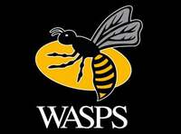 Thumbnail image for the event Wasps V Harlequins (Gallagher Premiership) supplied by the hosting site
