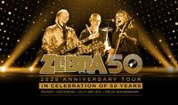 Thumbnail image for the event Zebra supplied by the hosting site