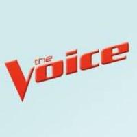 Avatar for the tag The Voice