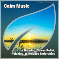 Thumbnail for the Relaxing Music - ! #0001 Calm Music for Napping, Stress Relief, Relaxing, to Release Endorphins link, provided by host site