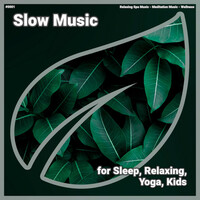 Thumbnail for the Relaxing Spa Music - ! #0001 Slow Music for Sleep, Relaxing, Yoga, Kids link, provided by host site