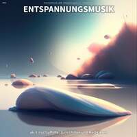 Thumbnail for the Entspannungsmusik - #001 Entspannungsmusik als Einschlafhilfe, zum Chillen und Meditieren link, provided by host site