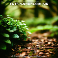 Thumbnail for the Meditationsmusik - #001 Entspannungsmusik als Einschlafhilfe, zum Relaxen und Regenerieren link, provided by host site