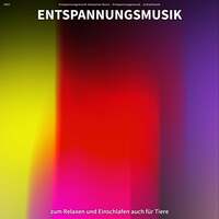Thumbnail for the Entspannungsmusik - #001 Entspannungsmusik zum Relaxen und Einschlafen auch für Tiere link, provided by host site