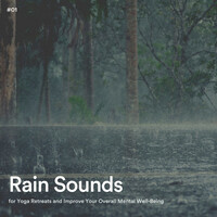 Thumbnail for the Calming Rainforest Sounds - #01 Rain Sounds for Yoga Retreats and Improve Your Overall Mental Well-Being link, provided by host site