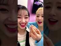 Thumbnail for the  STAYC - 꽁냥꽁냥 01즈의 눈, 코, 입🎵 | 쑴도라의 상자🐰 link, provided by host site
