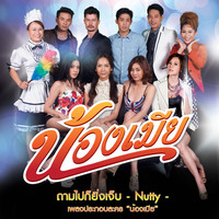Thumbnail for the Nutty - ถามไปก็ยิ่งเจ็บ (เพลงประกอบละครน้องเมีย) link, provided by host site
