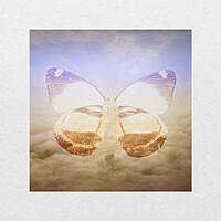 Thumbnail for the Strange - Монолог link, provided by host site
