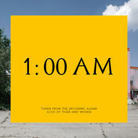Thumbnail for the Tiger & Woods - 1:00 Am link, provided by host site