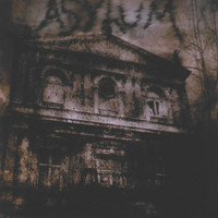 Thumbnail for the Asylum - 1-800-Squawk link, provided by host site
