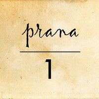 Thumbnail for the Prana - 1 link, provided by host site