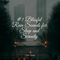 Thumbnail for the Spa Zen - #1 Blissful Rain Sounds for Sleep and Serenity link, provided by host site