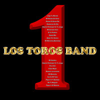 Image of Los Toros Band linking to their artist page due to link from them being at the top of the main table on this page