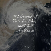 Thumbnail for the Sleep Music System - #1 Sounds of Rain for Sleep and Chill Ambience link, provided by host site