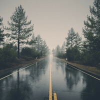 Thumbnail for the Nature Sounds for Concentration - #1 Summer Ambient Rain Sounds for Sleep and Mindfulness link, provided by host site