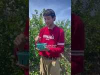 Thumbnail for the Jeremy Zucker - 10/10 reccomend link, provided by host site