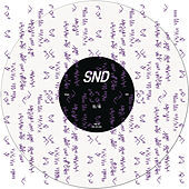 Image of SND linking to their artist page due to link from them being at the top of the main table on this page