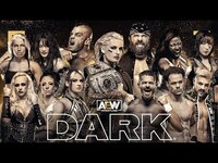 Thumbnail for the All Elite Wrestling - AEW Dark: 10 Matches link, provided by host site