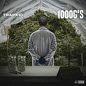 Thumbnail for the Trapx10 - 1000G's link, provided by host site