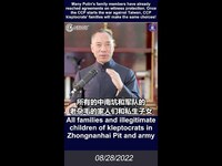 Thumbnail for the Miles Guo - 文贵直播：很多普京的家人和朋友都已同欧洲很多国家达成证人保护，中共一旦对台或对美开战，盗国贼的家人和私生子女也会照做！ link, provided by host site