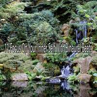 Thumbnail for the Binaural Beats Brainwave Entrainment - 11 Focus on Your Inner Self with Binaural Beats link, provided by host site