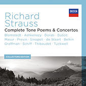 Thumbnail for the Heinrich Schiff - 11. Variation 8 link, provided by host site
