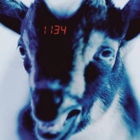 Thumbnail for the GASHI - 1134 link, provided by host site