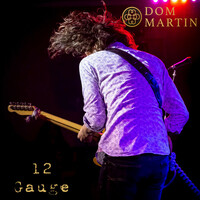 Thumbnail for the Dom Martin - 12 Gauge link, provided by host site