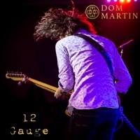 Thumbnail for the Dom Martin - 12 Gauge link, provided by host site