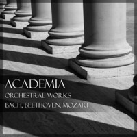 Thumbnail for the Ludwig van Beethoven - 12 German Dances, WoO 8: No. 8 in A Major link, provided by host site