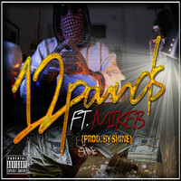 Thumbnail for the Shine - 12 Pounds link, provided by host site