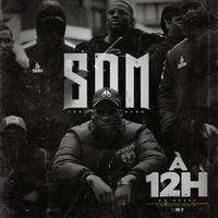 Thumbnail for the SDM - 12h link, provided by host site