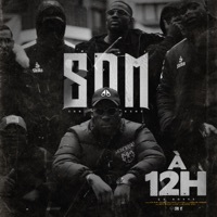 Thumbnail for the SDM - 12h link, provided by host site