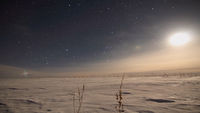 Thumbnail for the BT - 13 Angels On My Broken Windowsill link, provided by host site