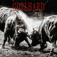 Image of Gotthard linking to their artist page due to link from them being at the top of the main table on this page