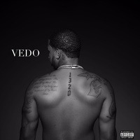 Thumbnail for the VEDO - 1320 link, provided by host site