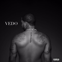 Thumbnail for the VEDO - 1320 link, provided by host site