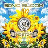Thumbnail for the X-Noize - 15000 Micrograms (DualCore Rmx) link, provided by host site