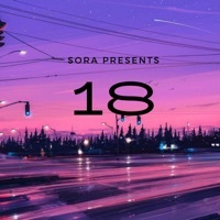 Thumbnail for the SoRA - 18 link, provided by host site