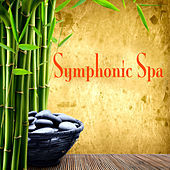 Thumbnail for the Philharmonia Slavonica - 1812 Overture Op.49 - Finale link, provided by host site