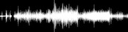 Thumbnail for the Eddie Roberts - 191 Toole link, provided by host site