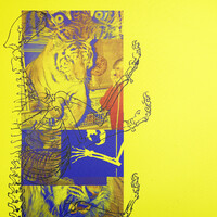 Thumbnail for the Preservation - 1974 link, provided by host site
