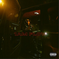 Thumbnail for the RJmrLA - 1AM FLOW link, provided by host site
