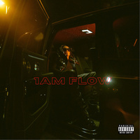 Thumbnail for the RJmrLA - 1AM FLOW link, provided by host site