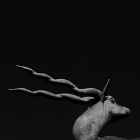 Image of Gareth Davis linking to their artist page due to link from them being at the top of the main table on this page