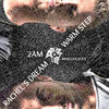 Thumbnail for the MiniCoolBoyz - 2 AM / Warm Step / Rachel's Dream link, provided by host site