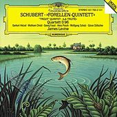 Thumbnail for the James Levine - 2. Andante link, provided by host site