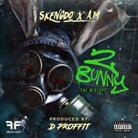 Thumbnail for the Skengdo - 2 Bunny the Mixtape link, provided by host site